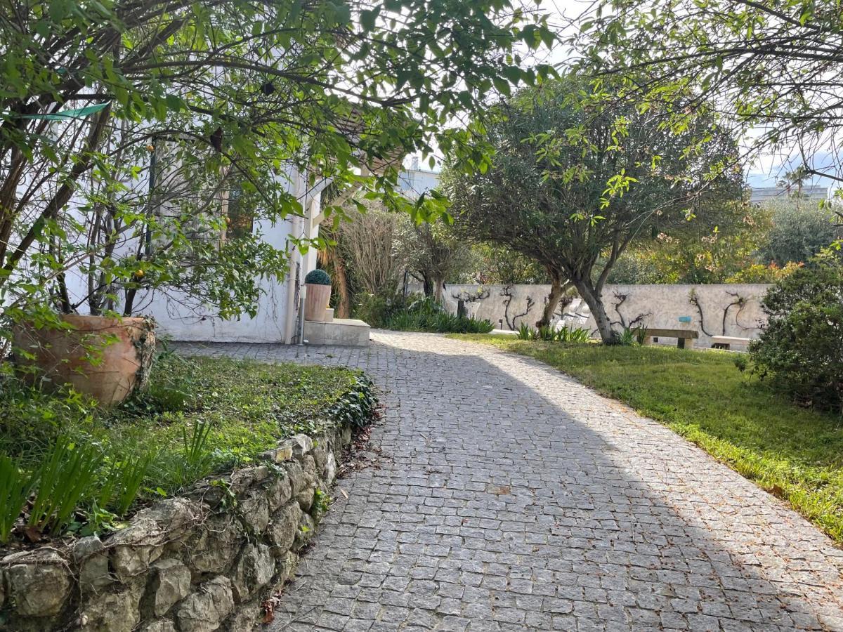 Sublime Haut De Villa Apercu Mer /Hippodrome / Cagnes-sur-Mer Dış mekan fotoğraf