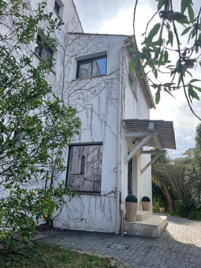 Sublime Haut De Villa Apercu Mer /Hippodrome / Cagnes-sur-Mer Dış mekan fotoğraf