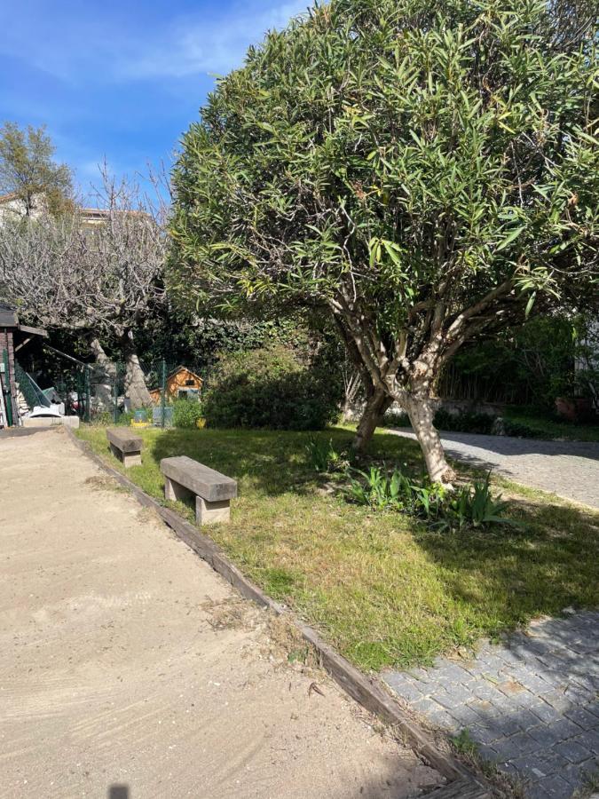 Sublime Haut De Villa Apercu Mer /Hippodrome / Cagnes-sur-Mer Dış mekan fotoğraf